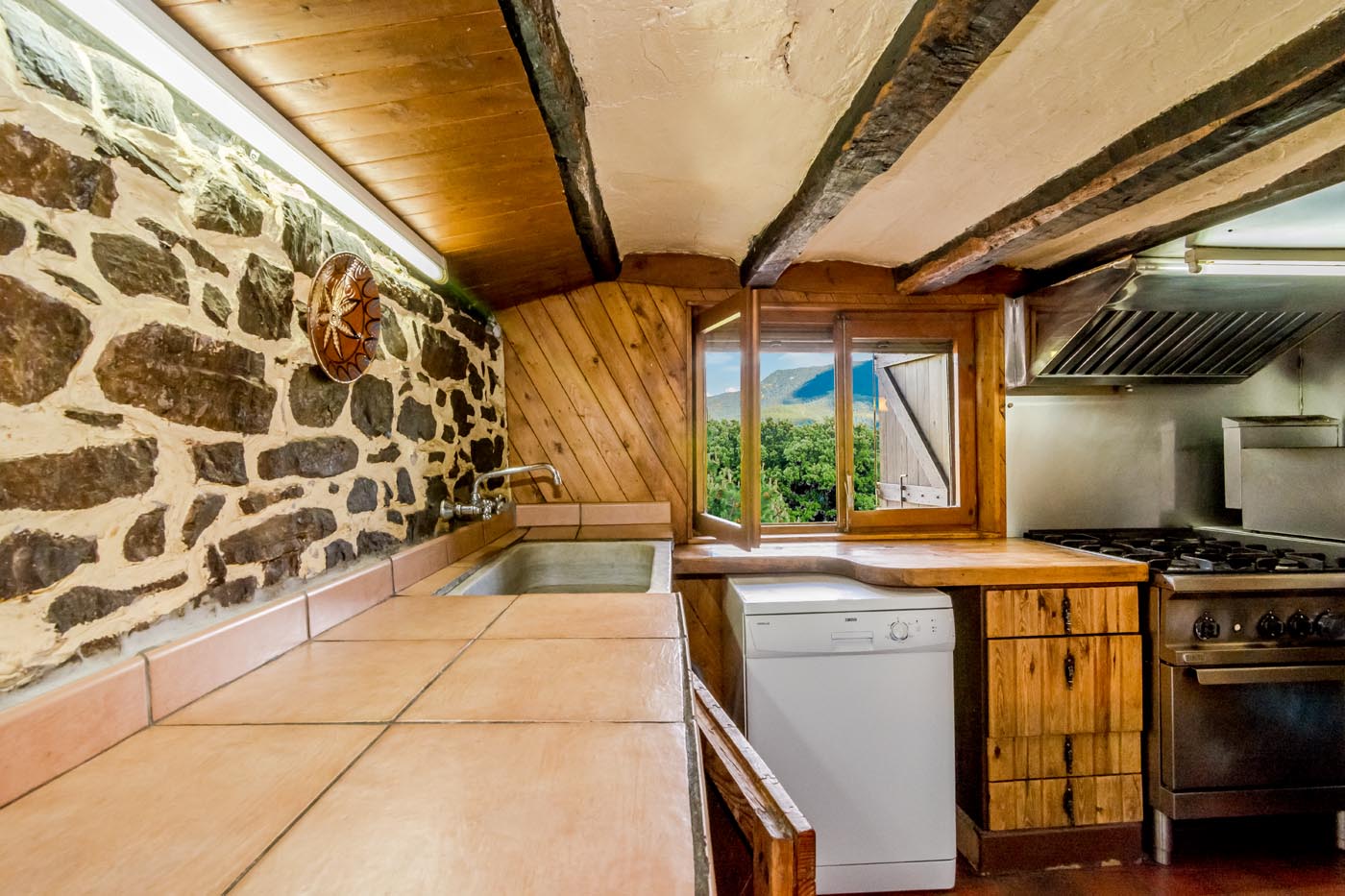 The kitchen has a semi-industrial feel